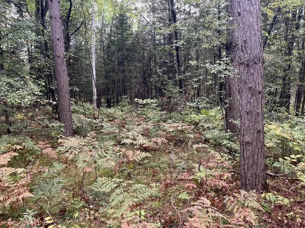 Lt1 TWO MILE ROAD, Porterfield, WI 54159