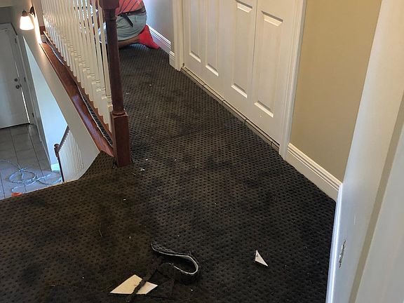 2nd image of 4319 Downs St