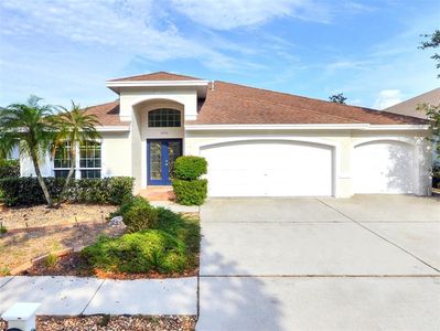 19723 Morden Blush Dr, Lutz, FL, 33558