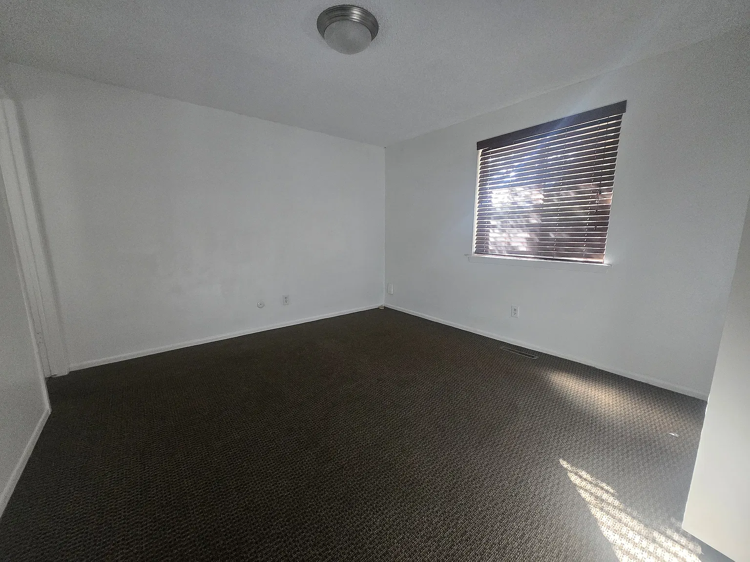 947 Tiffany Pl — Photo 4