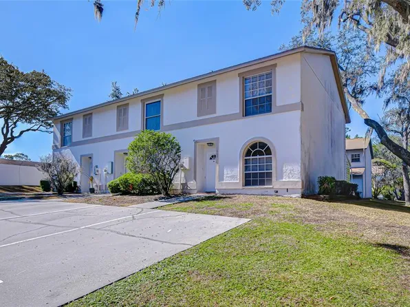 602 Fieldcrest Dr, Brandon, FL 33511