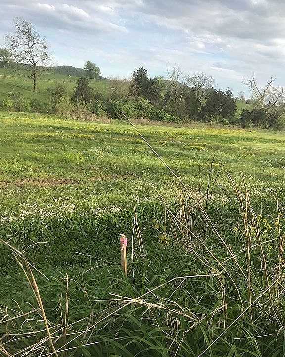 2nd image of 6200 Harmons Lick Rd #3
