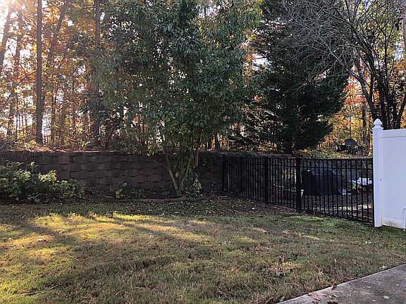 Backyard-2