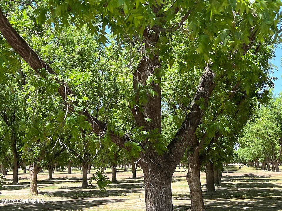 490 Barrio Rd, Anthony, NM 88021 MLS 2302685 Zillow