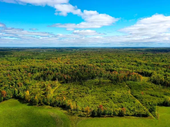 +/-21.94 Acres JOHNS LANE, Medford, WI 54451