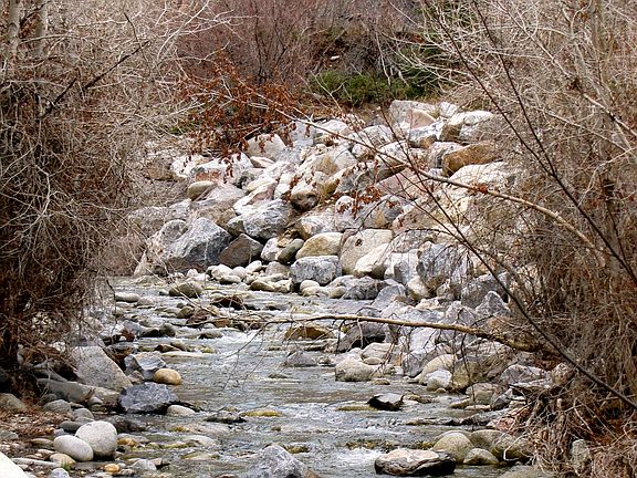 Little Cottonwood Creek 