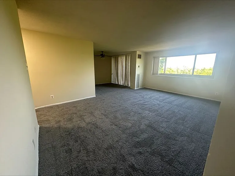 9727 Mount Pisgah Rd — Photo 225