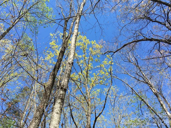 0 Lytle Mountain Rd, Marion, NC 28752