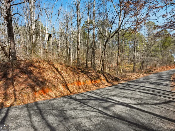 0 Pickett Bridge Rd, Covington, GA 30016