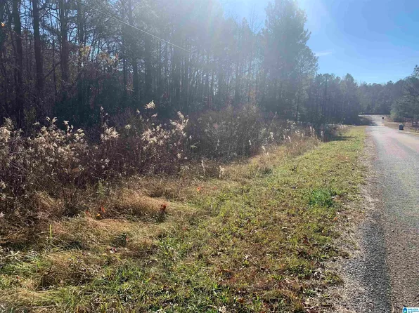 0 Lantana Ln #202-203, Trafford, AL 35172