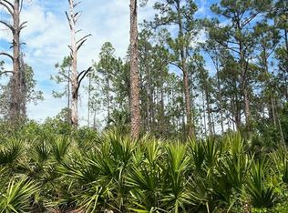 2106 Moore Ave, Alva, FL 33920