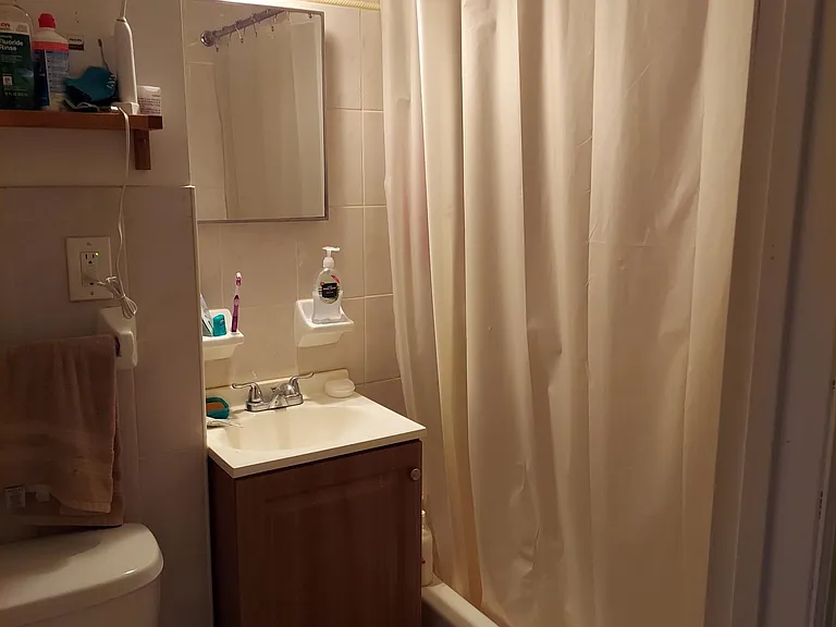213 Nassau Ave #1R — Photo 6