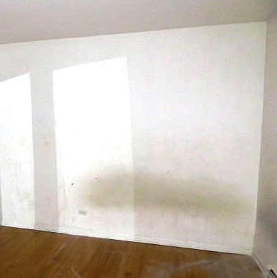 5th image of 1813 W Touhy Ave APT 6