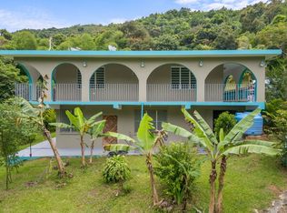 Calle Yagrumo Bo, Canovanas, PR 00729