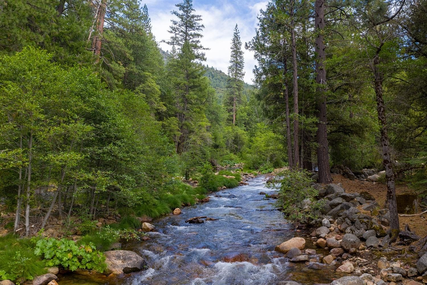 1420 Robin Cir, Kyburz, CA 95720 Zillow