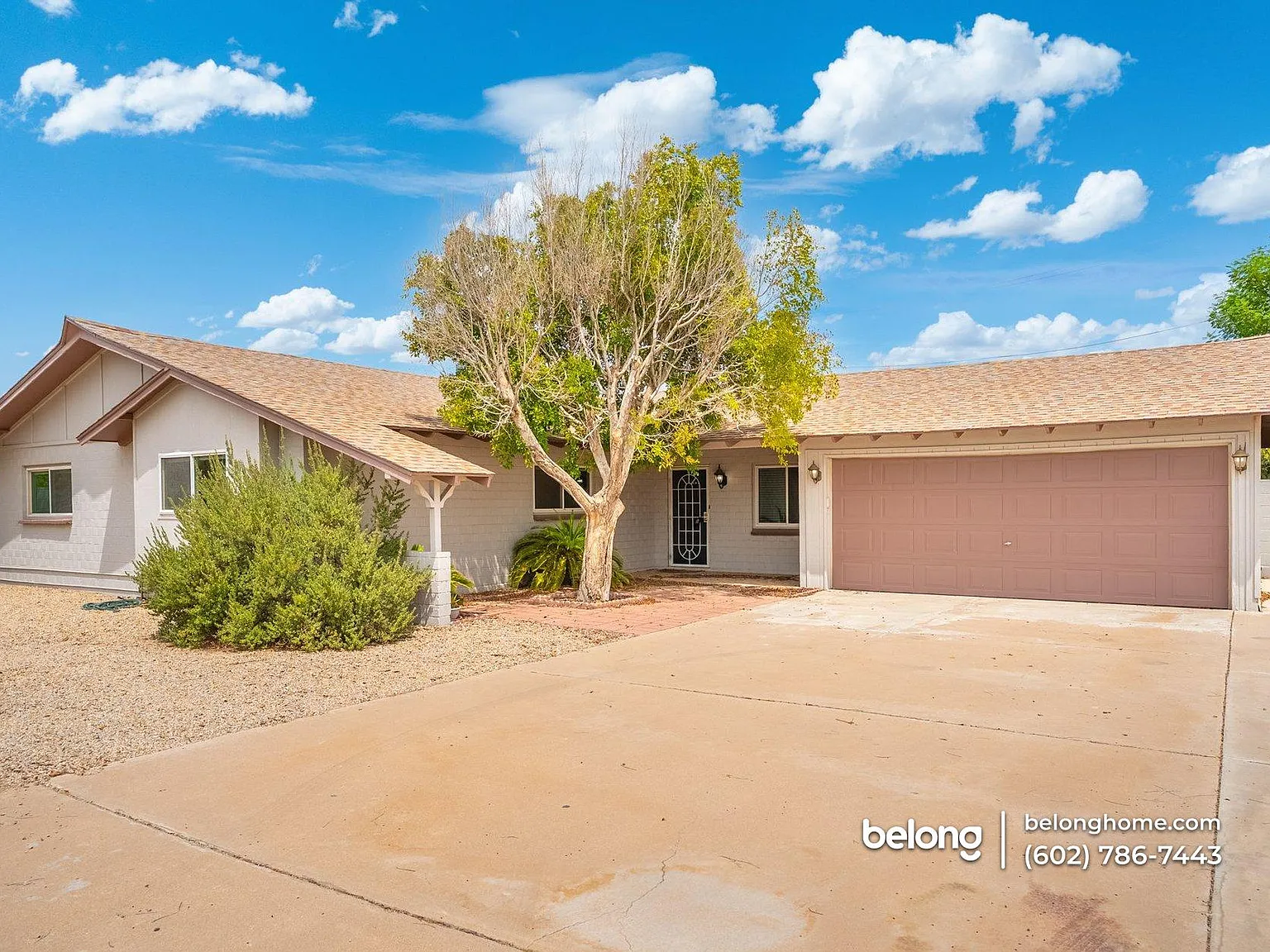 4 bed, 2.0 bath, 1676 sqft, $2,795 — Photo 3