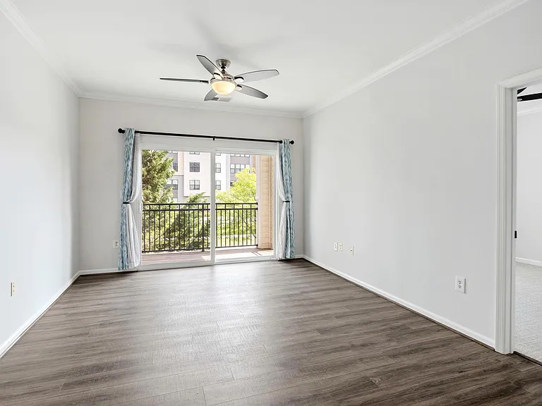 Living room Freshly painted. Balcony sliding door.