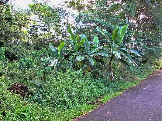 1st image of Niuhi St Lot 1438