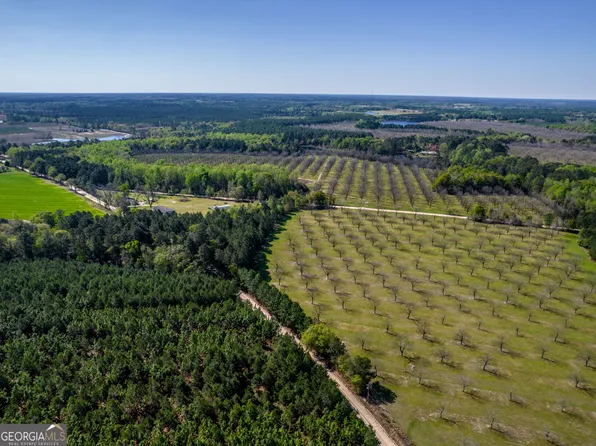 0 Kermit Rd, Cobbtown, GA 30420