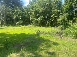 176 Log Rd, Lynchburg, SC 29080