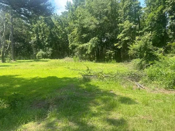 176 Log Rd, Lynchburg, SC 29080