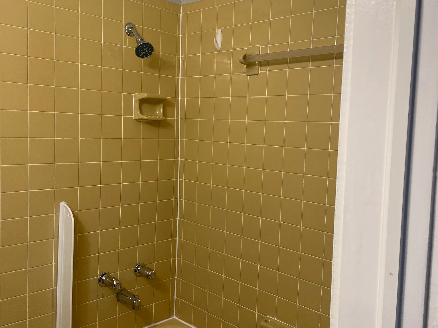 2 bed, 1000 sqft, $1,725 — Photo 3