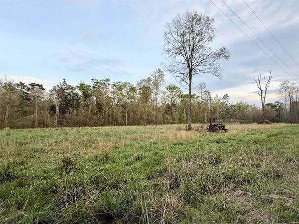 18776 Creole Ln, Livingston, LA 70754