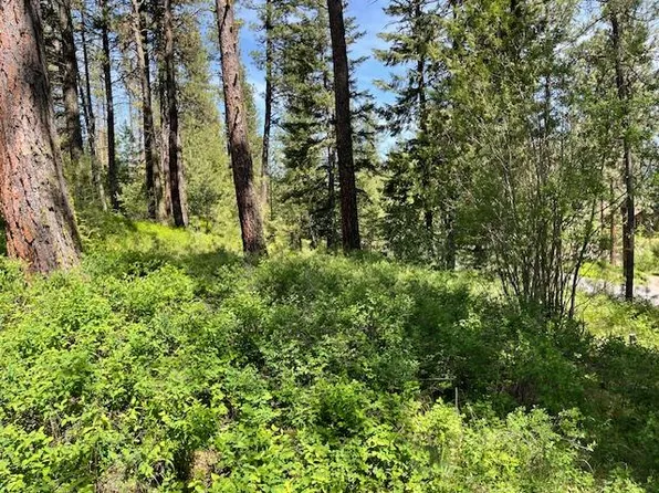 LOT 23 Hot Springs Rd, New Meadows, ID 83654