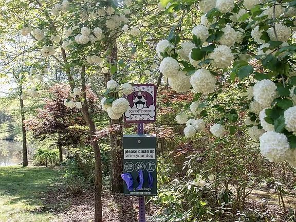 35th image of this home