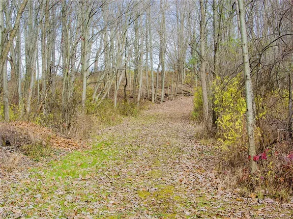 Failer Rd, East Palestine, OH 44413