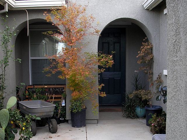 Courtyard-Style Entry