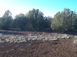 346 County Rd, Concho, AZ 85924