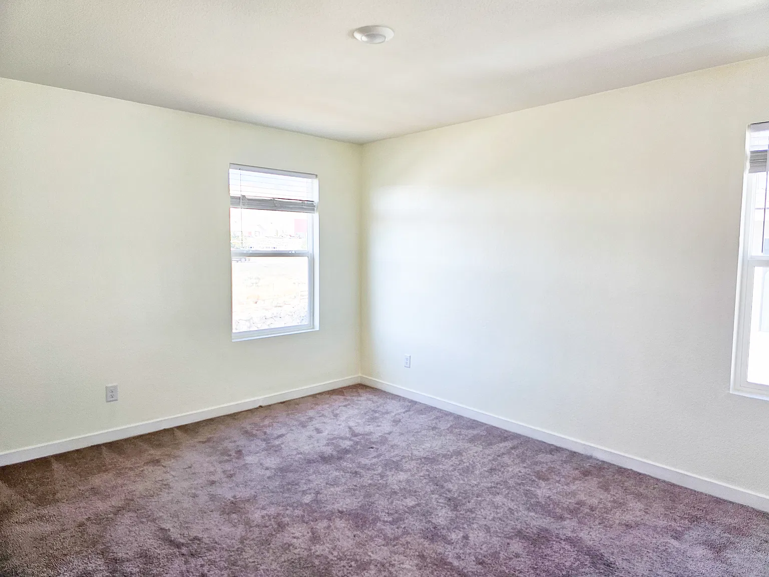 4 bed, 2.5 bath, 1504 sqft, $2,475 — Photo 3