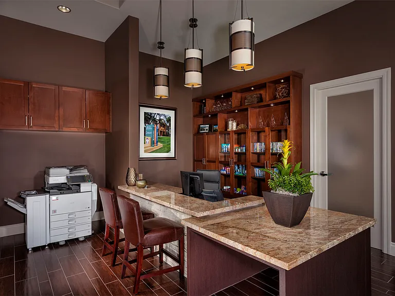 The Enclave at Homecoming Terra Vista — Photo 23