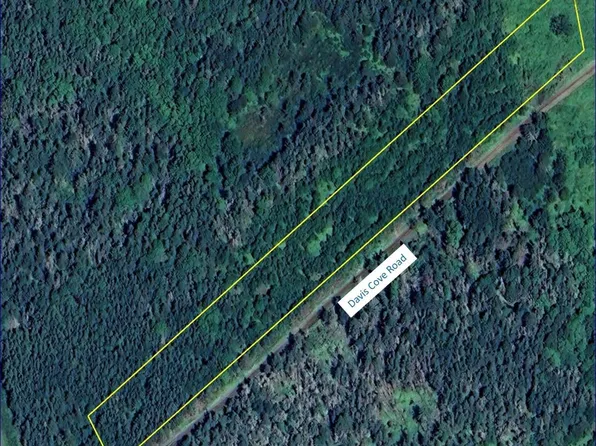 Davis Cove Rd #A, Salmon River, NS B0W 2Z0