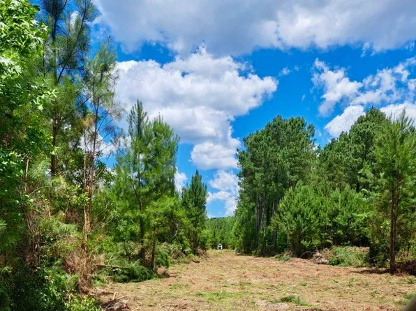 5703 Kelly Road, Bath, NC 27808