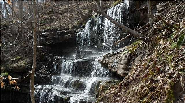 1st image of 99 Falling Cliff Dr