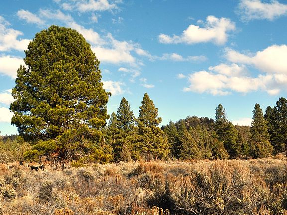 3rd image of 0 Tableland Rd #1400 & 1500