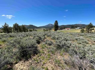 79177 Brae Gate Rd, Portola, CA 96122