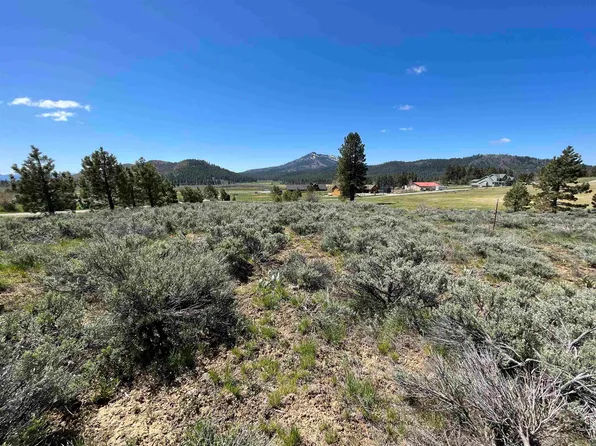 79177 Brae Gate Rd, Portola, CA 96122