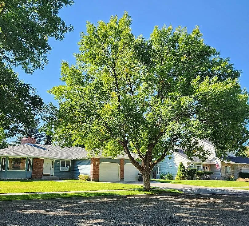 Building Photo - 262 Brookside Dr