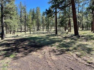 3 County Rd, Greer, AZ 85927