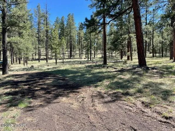 3 County Rd, Greer, AZ 85927
