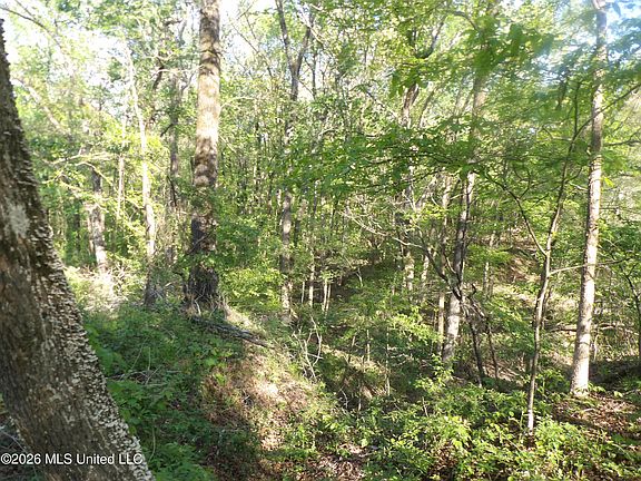 4th image of 4269 Laws Hill Rd