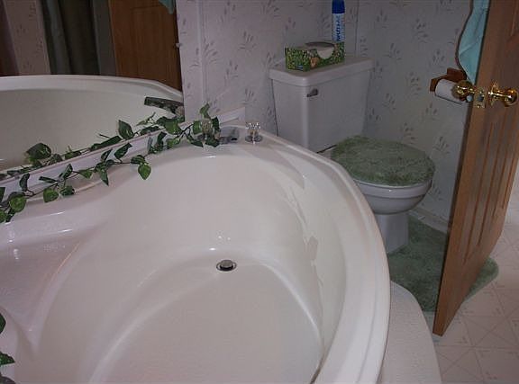 Master Bathroom/Garden Bath