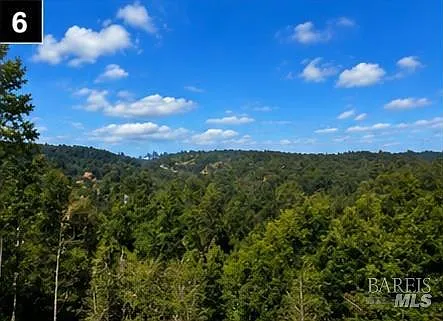 6059 Hyland Way - Photo 6