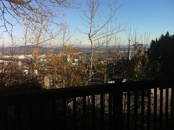 View from deck