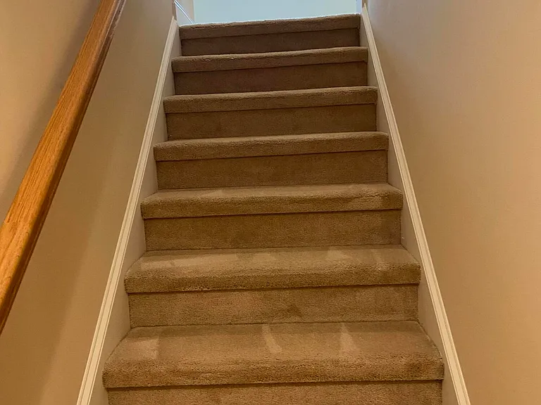 1113 Evangeline Dr — Photo 23