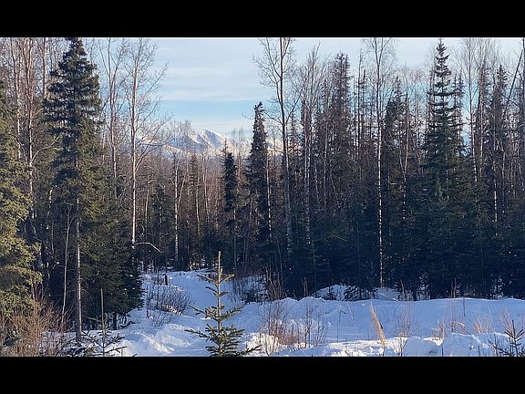 2nd image of 37845 Adkins Rd