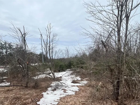 LOT 41 Altorf Strasse, Gaylord, MI 49735